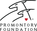Promontory-Foundation_logo_black-1